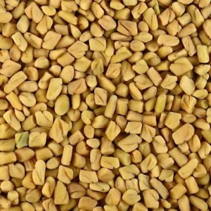 Fenugreek