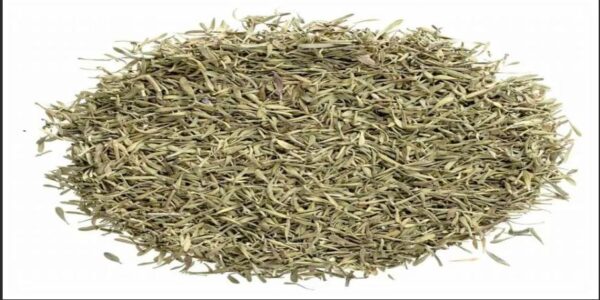 Thyme